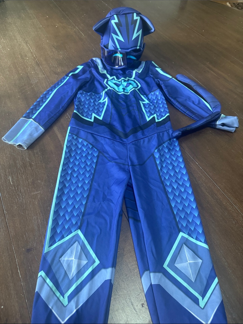 PJ masks Cat Boy Costume
